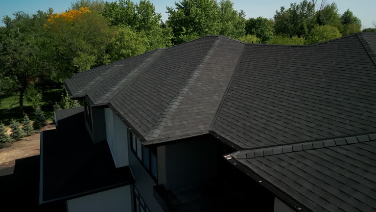 Best Roof Leak Repair  in Meeker, CO