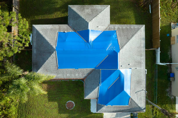 Best Asphalt Shingle Roofing  in Meeker, CO